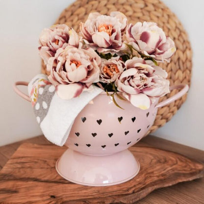 COLINO 'ISABELLE ROSE'