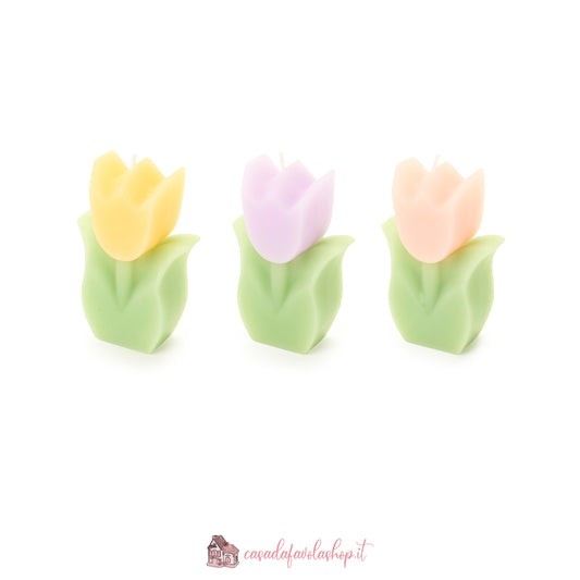 CANDELE TULIPANI